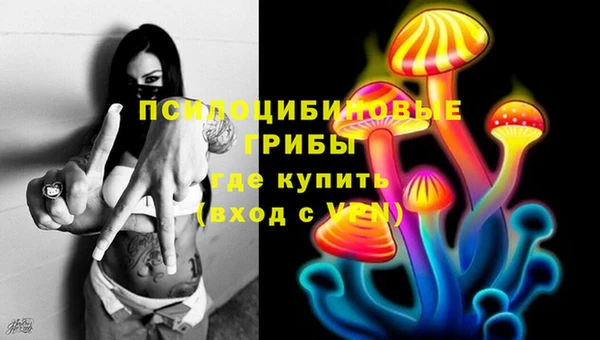 apvp Беломорск