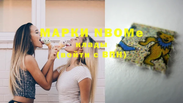 шишки Богородск