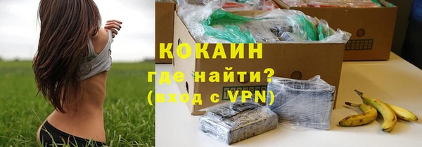 шишки Богородск