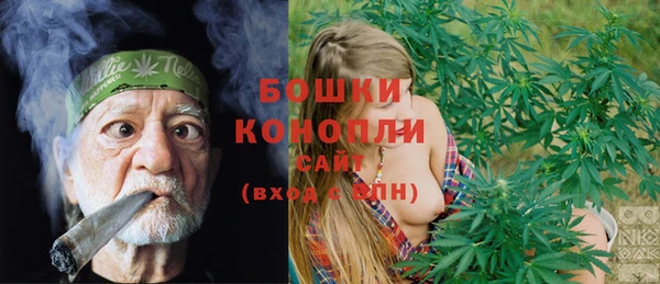 шишки Богданович