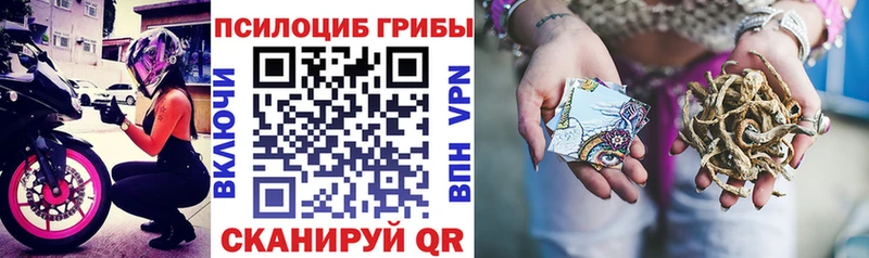 Псилоцибиновые грибы мицелий  кракен зеркало  Будённовск 