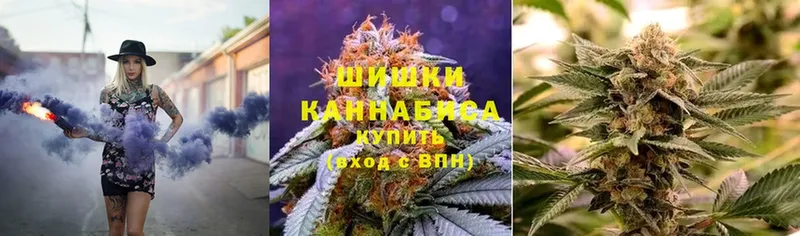 наркота  Будённовск  Бошки марихуана White Widow 